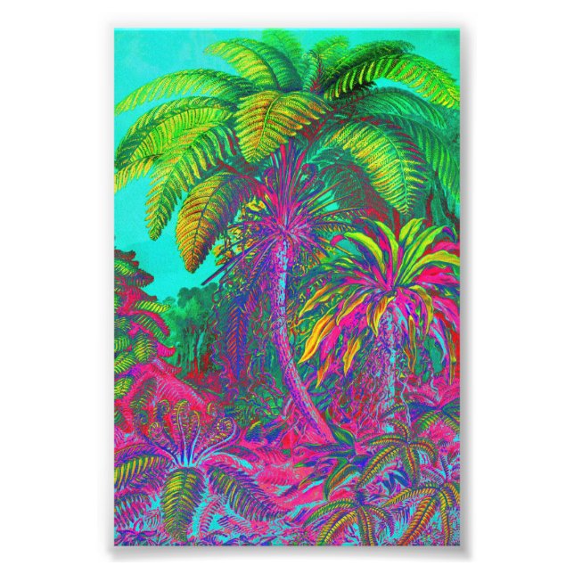 Filicinae Träd och Ferns Fototryck (Framsidan)