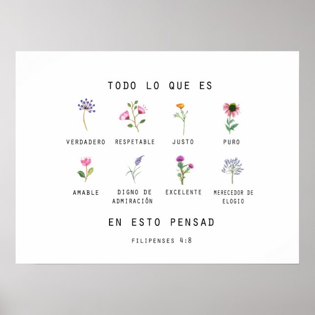 Filipenses 4 : 8 Póster Poster (Framsidan)