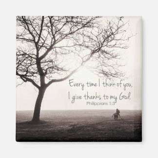 filippaner 1:3 magnet