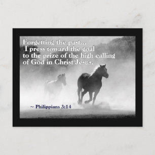 Filippinerna 3:14 Jag trycker på mot målet, Horses Vykort