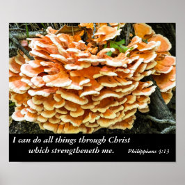 Filippinerna 4:13 Bible Verse Poster