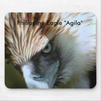 , Filippinsk örn "Agila ", Musmatta