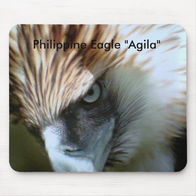 , Filippinsk örn "Agila ", Musmatta (Framsidan)