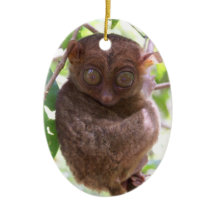 Filippinsk Tarsier prydnad