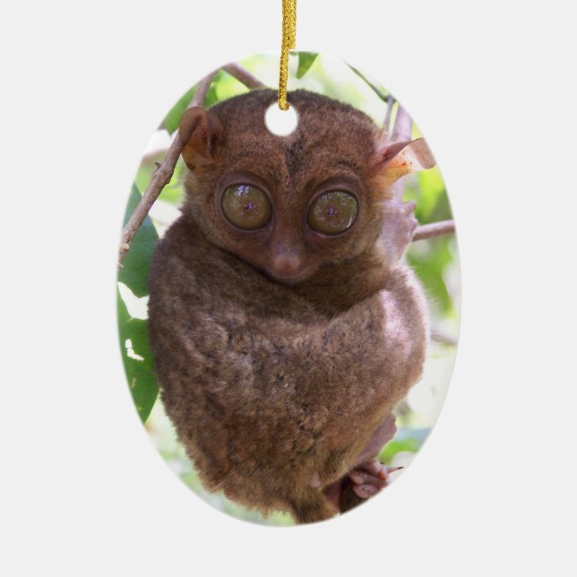Filippinsk Tarsier prydnad Julgransprydnad Keramik (Framsidan)
