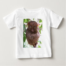 Filippinska Tarsier