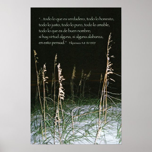 Filipsens 4-8b poster (Framsidan)