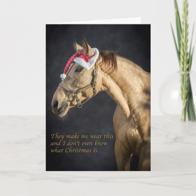 Filly tittar fånig vid jul helgkort (Framsida)