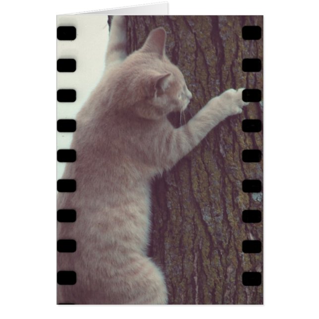 Film Rascal Hälsningskort (Framsidan)