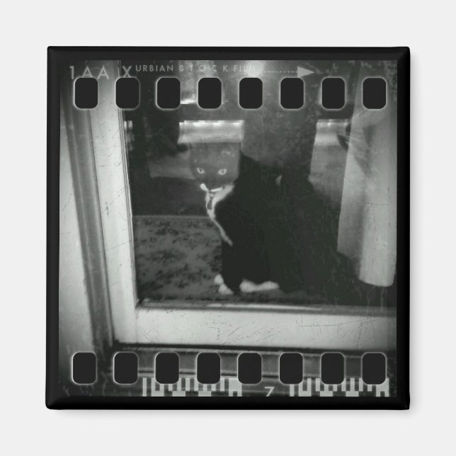 Film Strip Lucy Magnet (Framsidan)