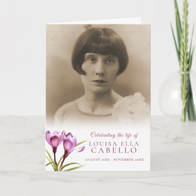 Filmbilder för lila av skurkfärgsbilder program (Framsida)