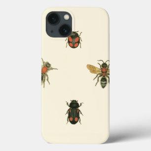 Filmer och Beetles efter Vision Studio