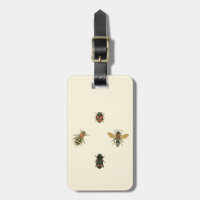 Filmer och Beetles efter Vision Studio