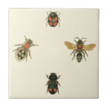 Filmer och Beetles efter Vision Studio Kakelplatta<br><div class="desc">Den här Vision Studio-utskriften kanske bara är till för insekten älskare! Flöden och skalbaggar samlas på en gräddbakgrund, inramad av en svart gräns. Om man är enomologi, eller känner någon som är det, så är det ett underbart biet!</div>