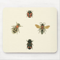 Filmer och Beetles efter Vision Studio