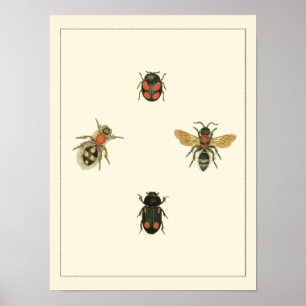 Filmer och Beetles efter Vision Studio Poster