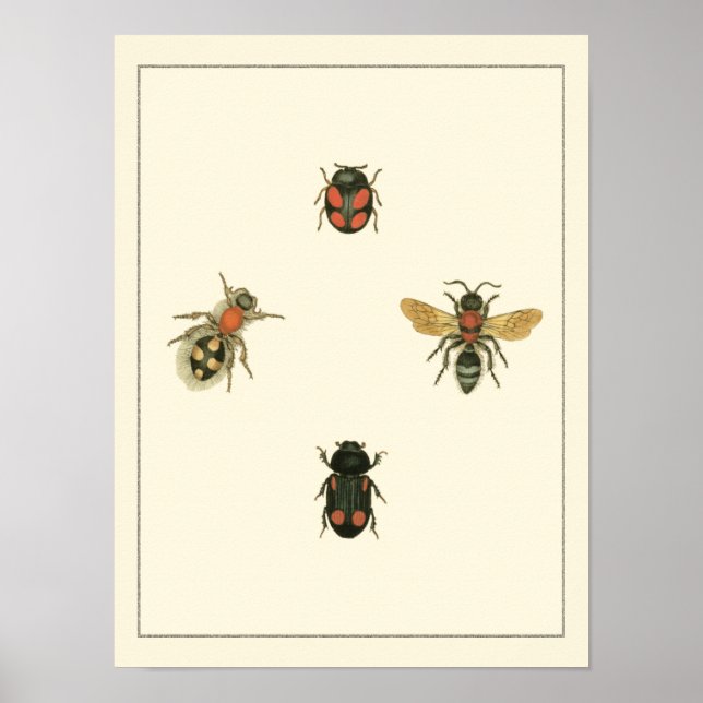 Filmer och Beetles efter Vision Studio Poster (Framsidan)