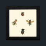Filmer och Beetles efter Vision Studio Smyckeskrin<br><div class="desc">Den här Vision Studio-utskriften kanske bara är till för insekten älskare! Flöden och skalbaggar samlas på en gräddbakgrund,  inramad av en svart gräns. Om man är enomologi,  eller känner någon som är det,  så är det ett underbart biet!</div>