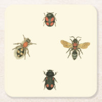 Filmer och Beetles efter Vision Studio