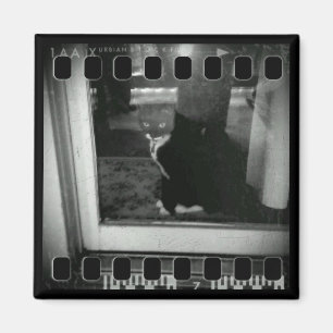 Filmremsor Lucy Magnet