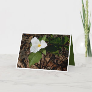 Filosofiskt gratulationskort från blomstertrillium kort