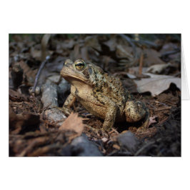 Filosofistikerat matkort hälsningskort