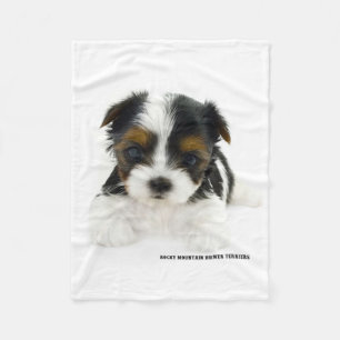 Filt - Biewer Terriervalp