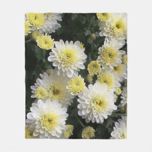 Filt för Asterblommaull