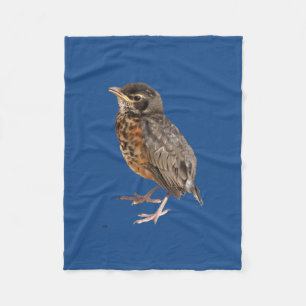 Filt för babyRobin ull