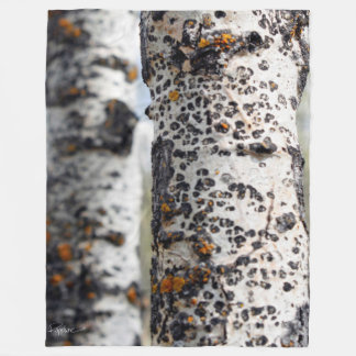 Filt för björkträdkast