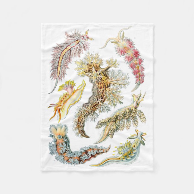 Filt för Haeckel Nudibranchiaull (Framsidan)