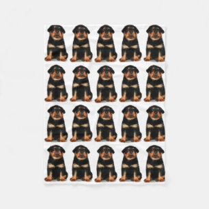 Filt för Rottweiler valpull