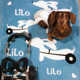 Filt för rullstol för Wheelie för taxWienerhund