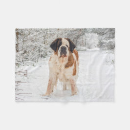Filt för St Bernard hundull