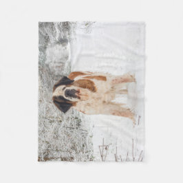 Filt för St Bernard hundull