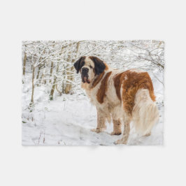 Filt för St Bernard hundull