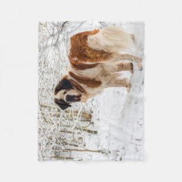 Filt för St Bernard hundull