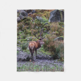 filt för tagningsfotografi