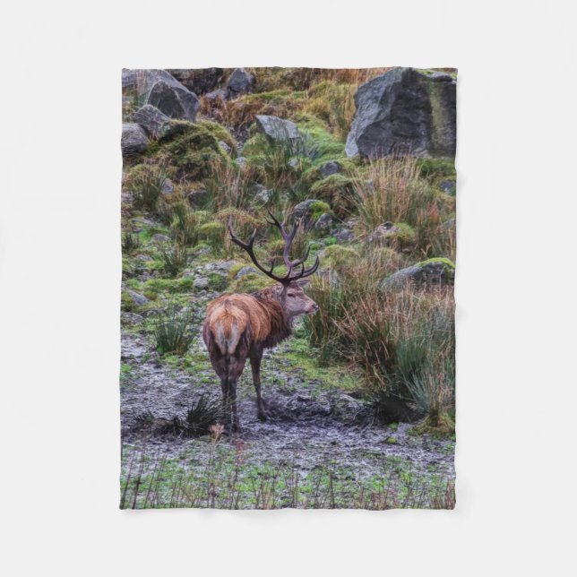 filt för tagningsfotografi (Framsidan)