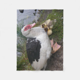 Filt för ull för Muscovy ankafamilj