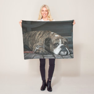 Filt för ull för översittaredeppighetbulldogg