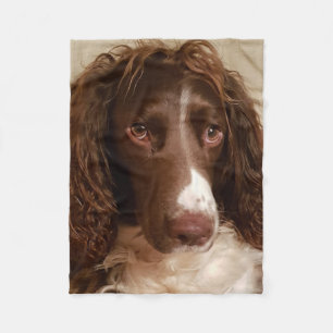 Filt för ull för Springerspaniel