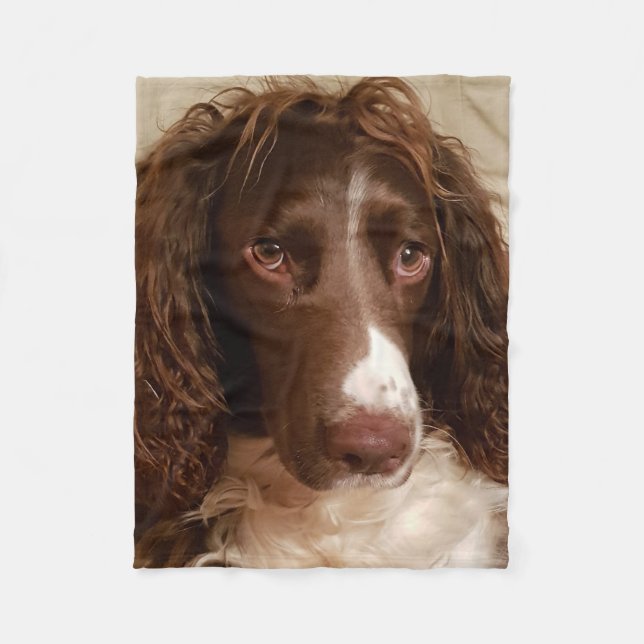 Filt för ull för Springerspaniel (Framsidan)