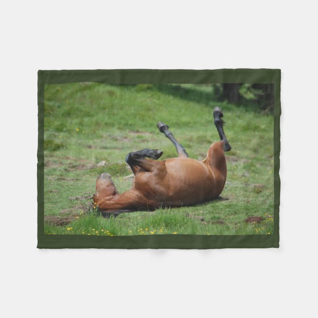 filt _ italien _ aveto naturpark _ häst (Framsidan (Horisontell))