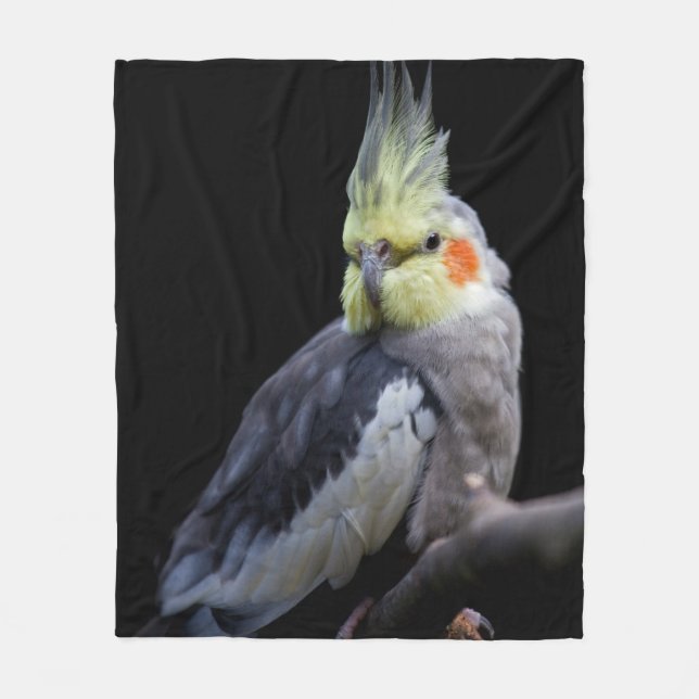 Filtfiltad filt för cockatieler (Framsidan)