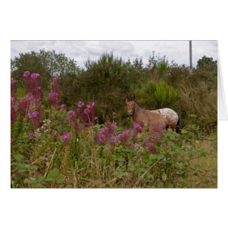 filtfläckig ponny hälsningskort