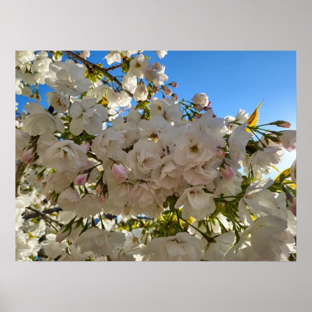 Fin Blommar Poster (Framsidan)