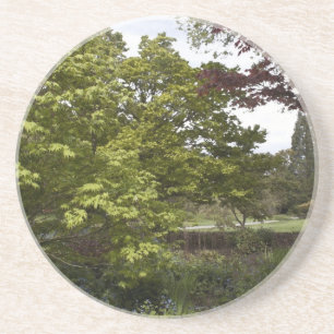 Fin botanisk trädgård. underlägg