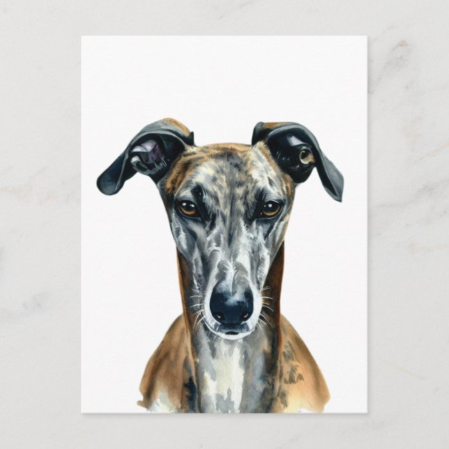Fin brindle Greyhound-illustration Vykort (Framsida)