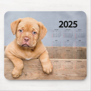 Fin brun marionett 2025-Hund Musmatta
